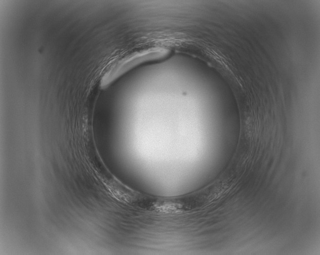 X0000051260407200507082222