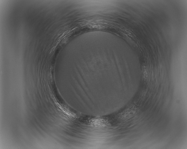 X0000051260408200507082222