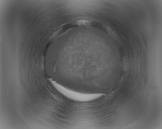X0000051260413200507082222