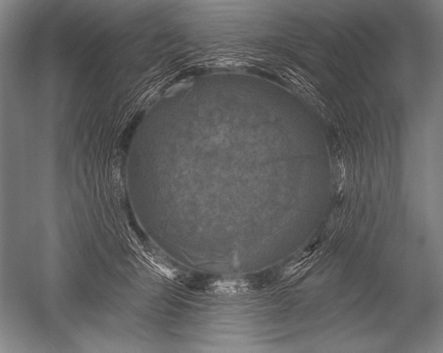 X0000051260415200507082222