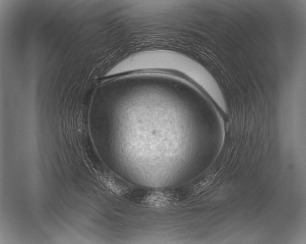 X0000051260416200507082222