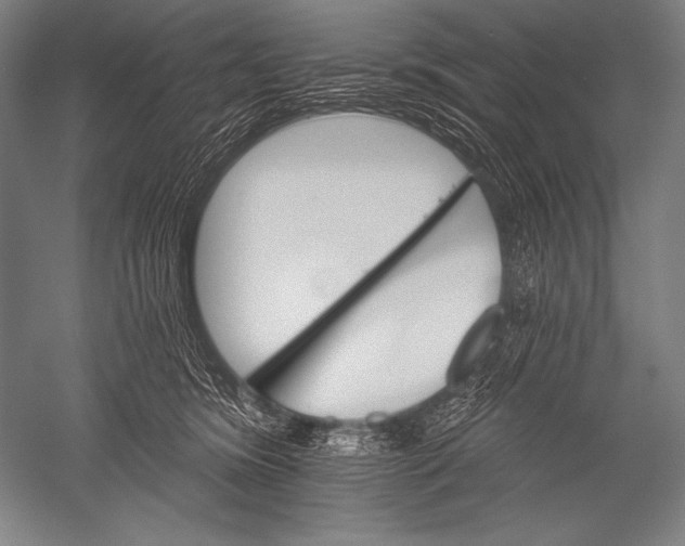 X0000051260420200507082222