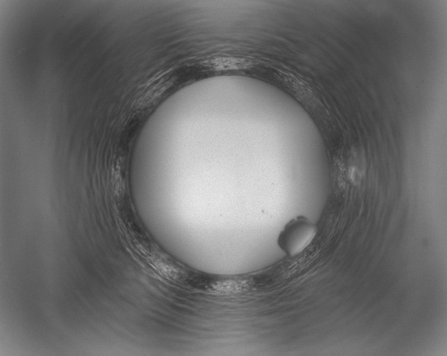 X0000051260422200507082222
