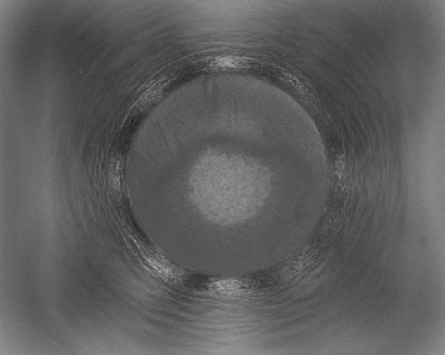 X0000051260423200507082222