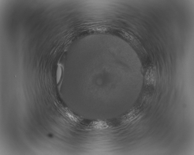 X0000051260424200507082222
