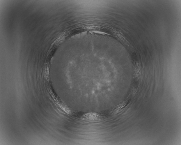 X0000051260427200507082222