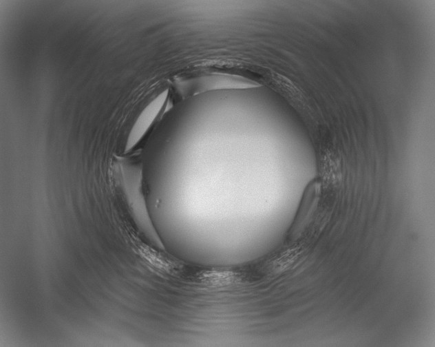 X0000051260428200507082222