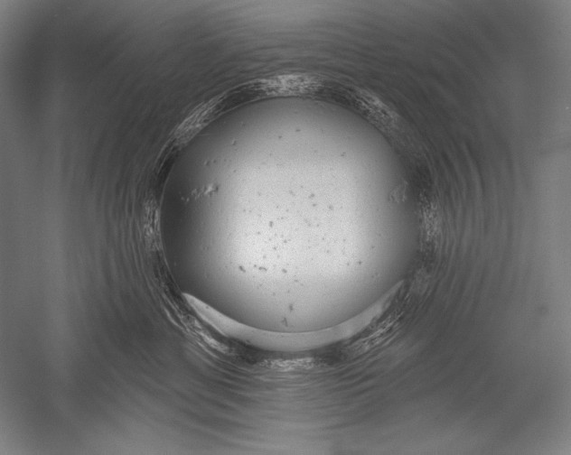X0000051260429200507082222