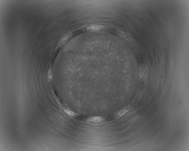 X0000051260431200507082222