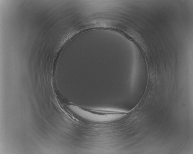X0000051260434200507082221