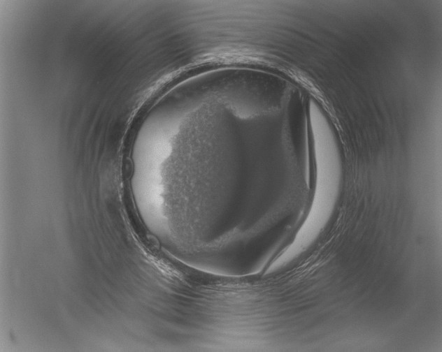 X0000051260438200507082221