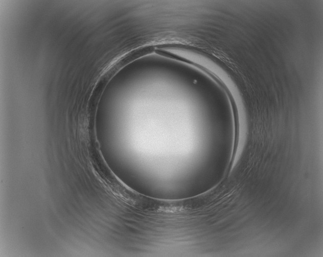 X0000051260440200507082221