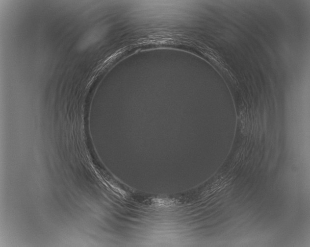 X0000051260442200507082221