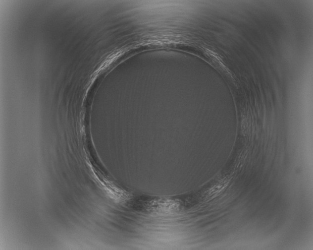 X0000051260443200507082221