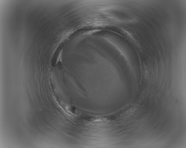X0000051260447200507082221