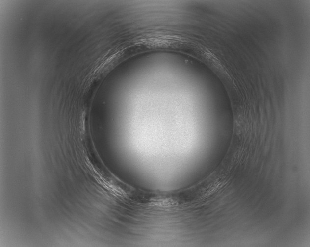 X0000051260454200507082221