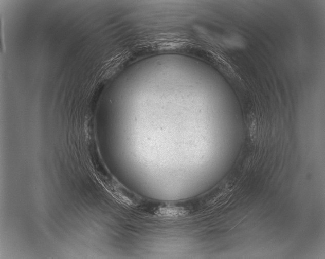 X0000051260455200507082221