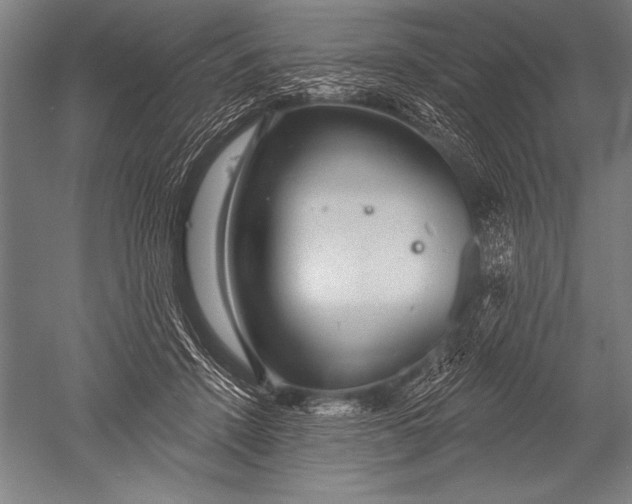 X0000051260456200507082221