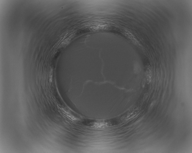 X0000051260458200507082221