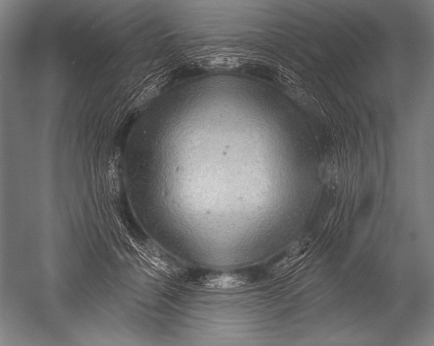 X0000051260460200507082221