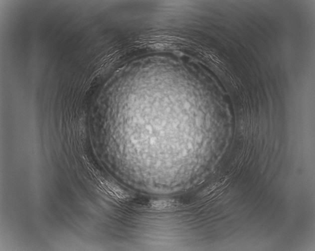 X0000051260461200507082221