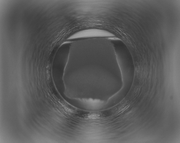 X0000051260462200507082221