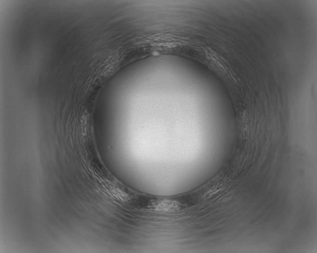 X0000051260463200507082221