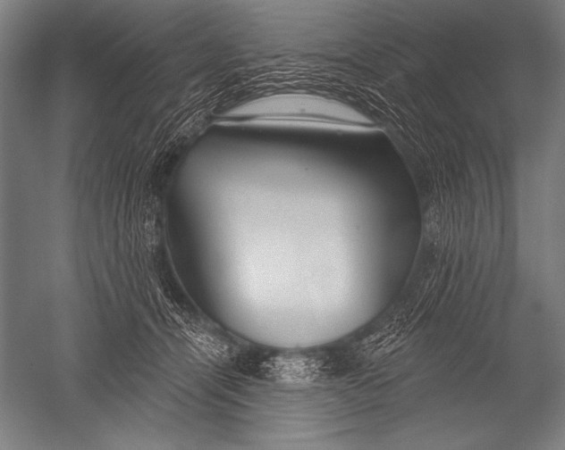 X0000051260464200507082221