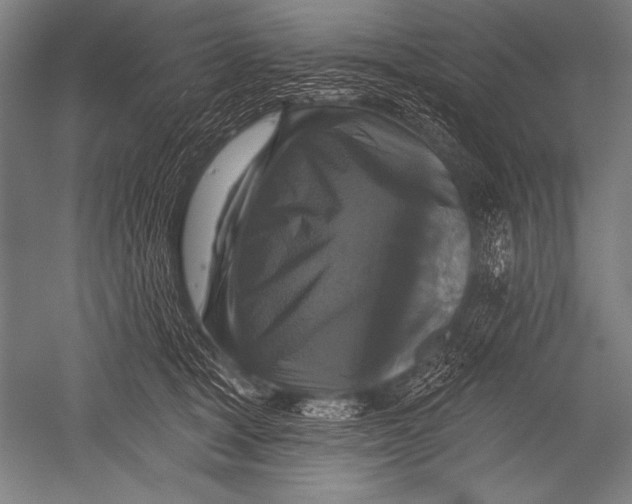 X0000051260465200507082221