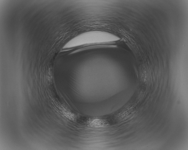 X0000051260467200507082221