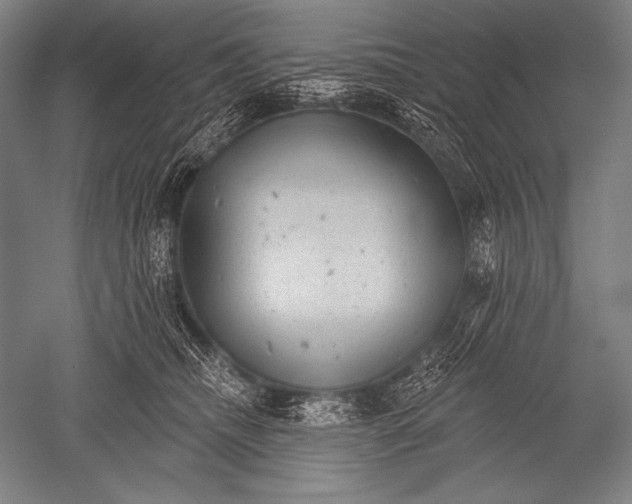 X0000051260468200507082221