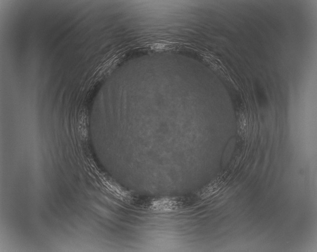 X0000051260470200507082222