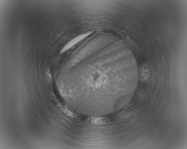 X0000051260472200507082222