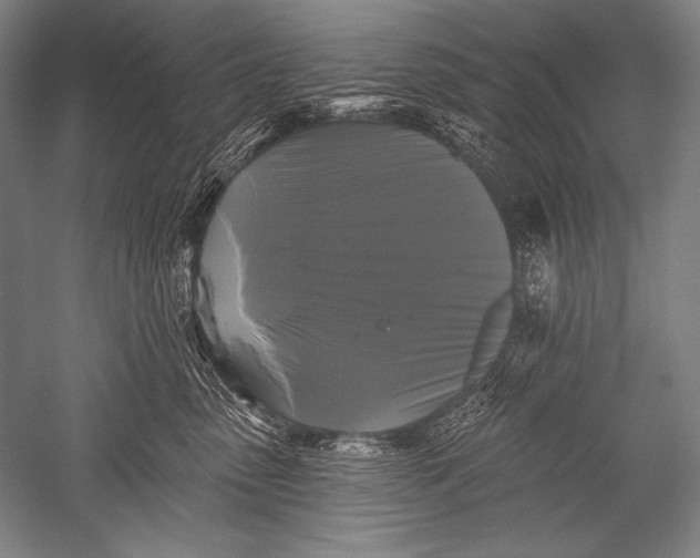 X0000051260475200507082222
