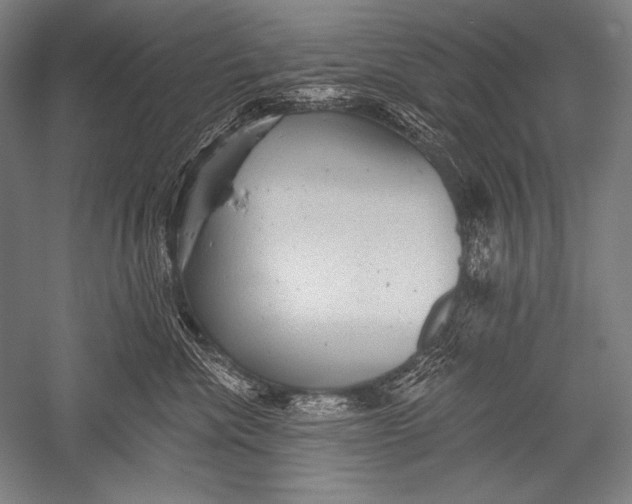 X0000051260476200507082222