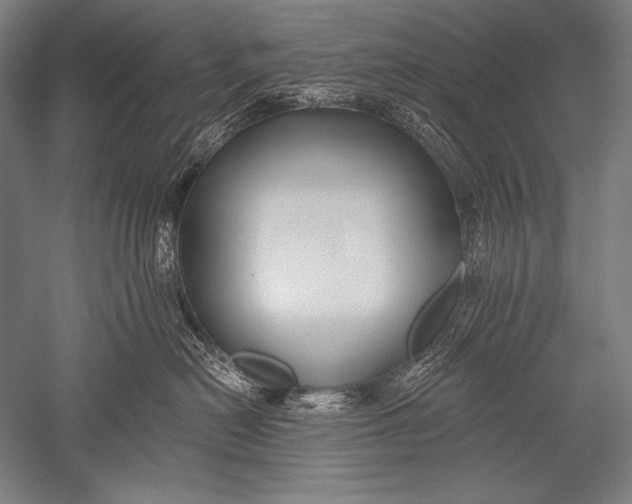 X0000051260478200507082222