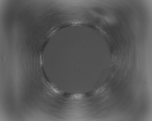 X0000051260479200507082222
