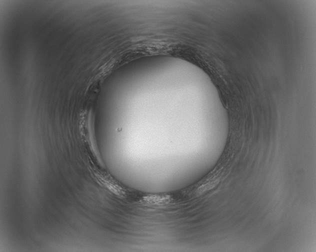 X0000051260480200507082222