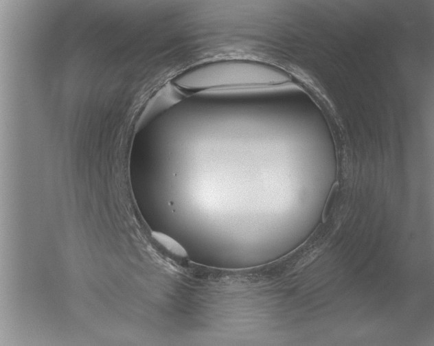 X0000051260481200507082221