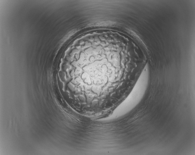 X0000051260483200507082221