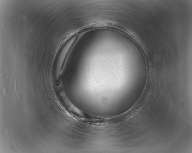 X0000051260485200507082221