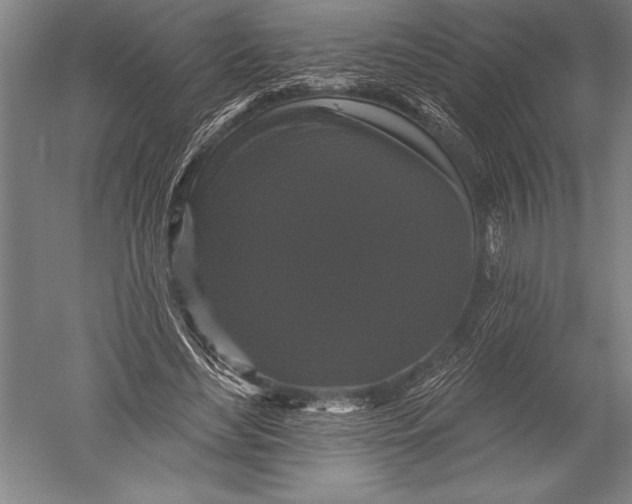 X0000051260492200507082221