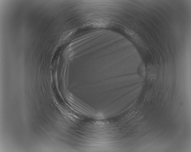 X0000051260494200507082221