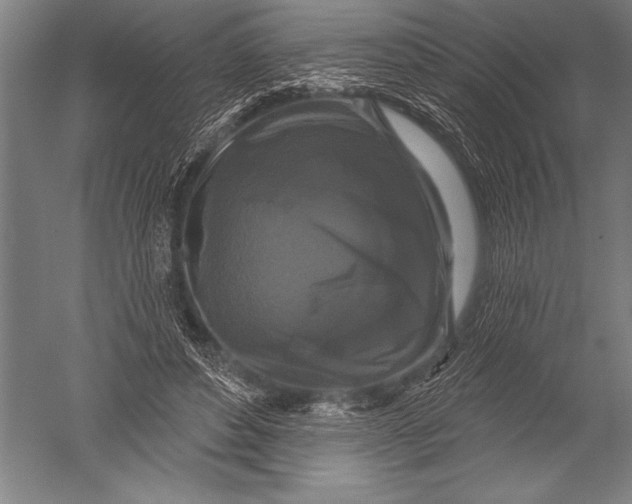 X0000051260496200507082221