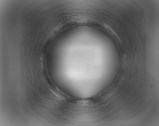 X0000051260497200507082221