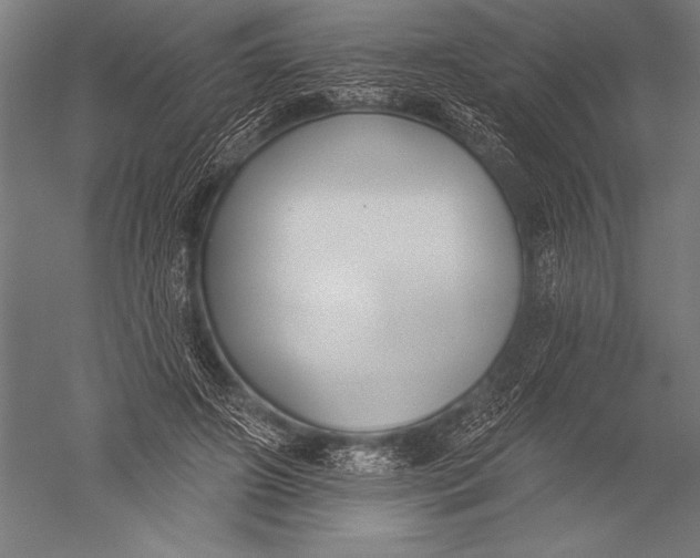 X0000051260498200507082221