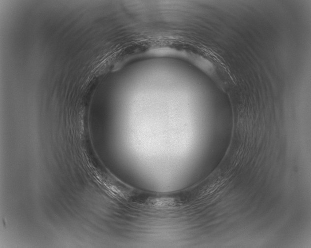 X0000051260501200507082221