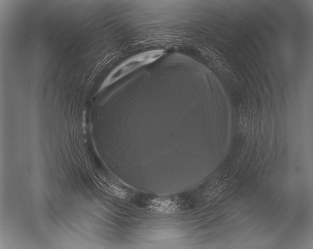 X0000051260502200507082220