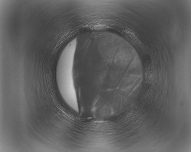 X0000051260503200507082220