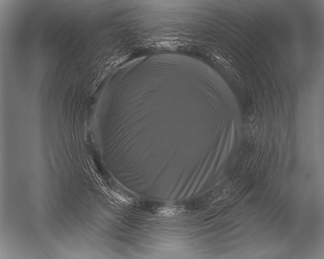 X0000051260504200507082220